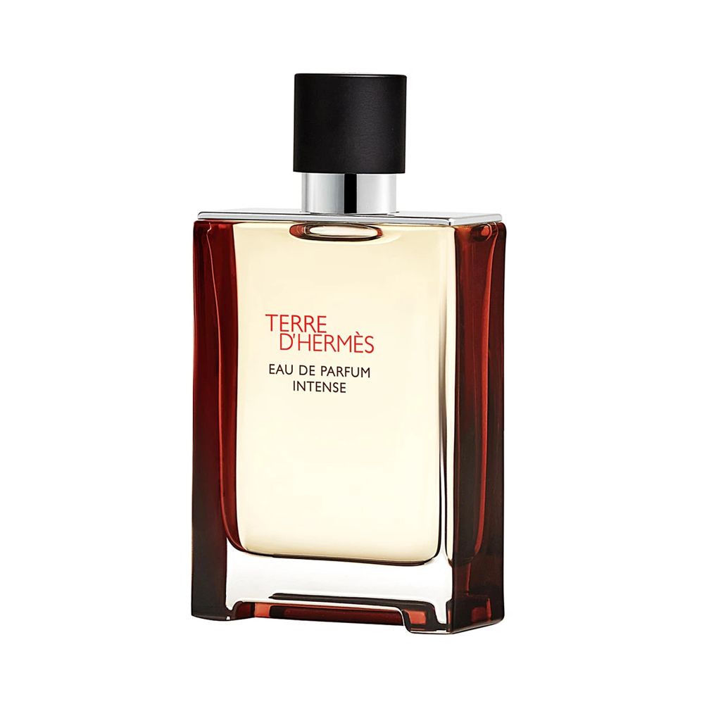 Hermes Terre D'Hermes Eau de Parfum Intense Refillable Masculin 100ml Parfum