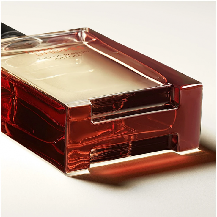 Hermes Terre D'Hermes Eau de Parfum Intense Refillable Masculin 100ml Parfum