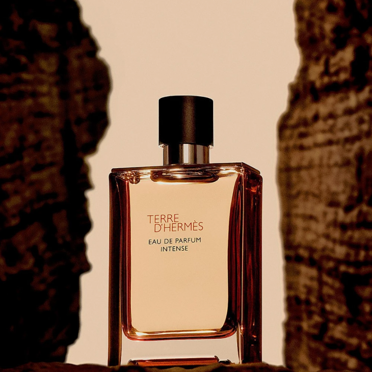 Hermes Terre D'Hermes Eau de Parfum Intense Refillable Masculin 100ml Parfum
