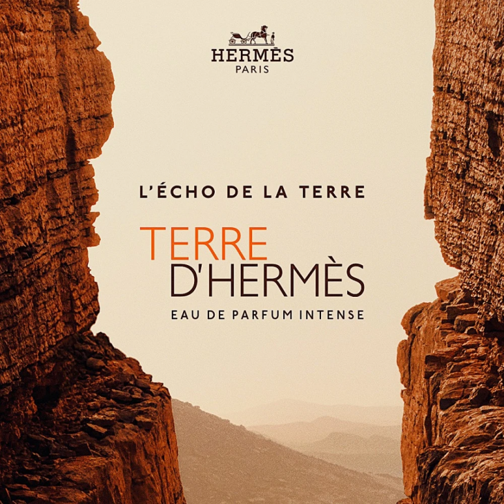 Hermes Terre D'Hermes Eau de Parfum Intense Refillable Masculin 100ml Parfum