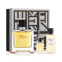 Hermes Terre D'Hermes Apă de Toaletă Set Cadou Bărbați 100ml + 5ml + Gel de Duș 40ml Parfum