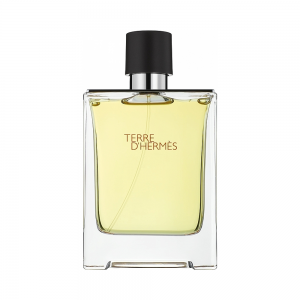 Hermes Terre D'Hermes Eau de Toilette Masculin 200ml Parfum